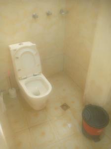 a bathroom with a white toilet and a bucket at Dagmaros in Bahir Dar