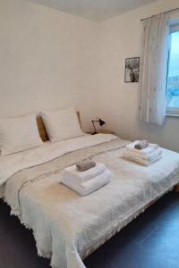 two beds sitting next to each other in a room at Wald & Weg in Schmallenberg +16 photos