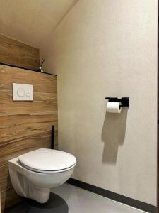 a bathroom with a toilet and a roll of toilet paper at L'annexe 3 - Cosy studio Dole in Foucherans +1 photo