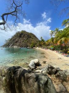 Phong cảnh thiên nhiên gần căn hộ