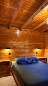 a bedroom with wooden walls and a bed with blue pillows at Casa Oregon Pucura in Traitraico