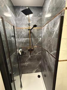 een badkamer met een douche met een glazen deur bij PFB Premium Apartment in Słubice +3 foto's
