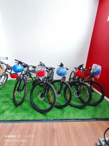 Jízda na kole v ubytování Aventura Patagonica 3 nebo okolí