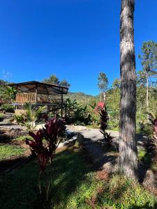 En have udenfor Chalet Tutti + 7 billeder