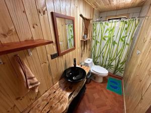 La salle de bains en bois est pourvue d'un lavabo et de toilettes. dans l'établissement Hostal Aves del Sur Coñaripe, à Panguipulli