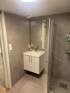 Et badeværelse på Family friendly apartment with parking + 16 billeder