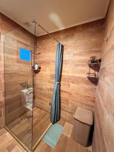 a bathroom with a shower and a toilet at Mountain Star House in Mojkovac +56 photos