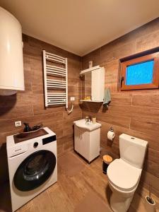 a bathroom with a washing machine and a toilet at Mountain Star House in Mojkovac