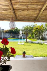 uitzicht op een tuin met een schommel bij LAS PALMERAS HOSTAL in Barranca