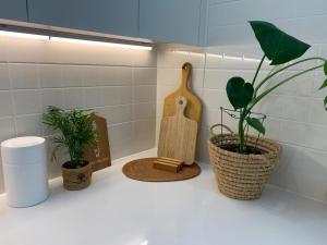 un bancone del bagno con tre piante e un tagliere di Yulgokjip a Gangneung Altre 22 foto