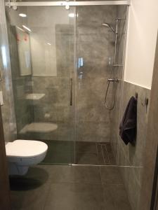 a bathroom with a shower and a toilet at Apartament Ksawery parking w cenie podgrzewany basen in Rewal +2 photos