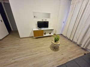 ein Wohnzimmer mit Fernseher und Topfpflanze in der Unterkunft edificio libertad Iquique con vista y wifi in Iquique