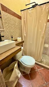 a bathroom with a toilet and a sink at Casona Bartolome in Morelia