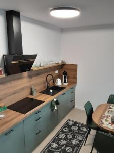 une cuisine avec un évier et un plan de travail dans l'établissement Apartman SKY Tatry, à Veľký Slavkov