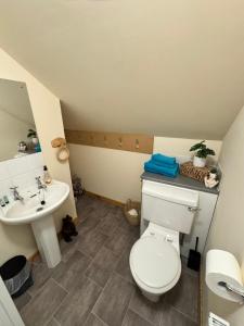 ein Badezimmer mit weißer Toilette und Waschbecken in der Unterkunft An Cuiltheann Apartment in Turriff