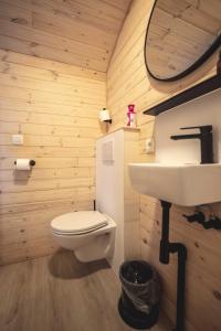 een badkamer met een wit toilet en een wastafel bij Laurel & Hardy in Mechelen