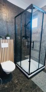 une douche avec toilettes et paroi en verre dans l'établissement Apartman SKY Tatry, à Veľký Slavkov