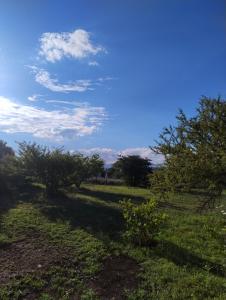 a field with trees and a blue sky with clouds at Las Calandrias II in Los Reartes +2 photos