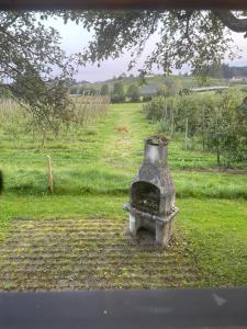 un vaso di pietra in mezzo a un campo di Ruhig gelegenes Ferienzimmer in Bodolz a Lindau-Bodolz Altre 7 foto