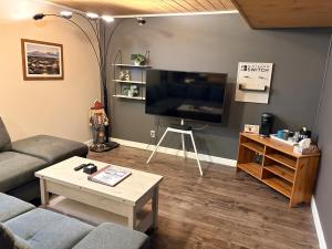 een woonkamer met een bank en een flatscreen-tv bij Private spacious oversized suite with free parking in Kingston