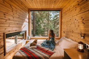 Running SpringsPostcard Cabins Big Bear, Outdoor Collection by Marriott Bonvoy的一位女士和一只猫坐在小木屋的床上。
