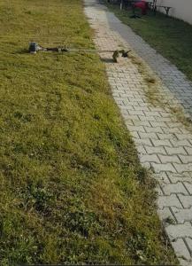 Ảnh trong thư viện ảnh của Évasion & Nature ở Ravenel