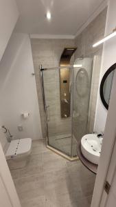 een badkamer met een glazen douche en een toilet bij Carpathia Magic -adults only in Peştera