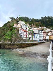 a group of houses on a hill next to the water at CASINA La RIBERA in Cudillero