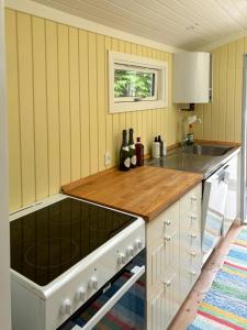 a kitchen with a counter top and a sink at Summerhouse Close To Nature And Beach in Rørvig