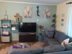 a living room with a couch and a flat screen tv at Nárcisz Vendégház 2 in Mezőkövesd