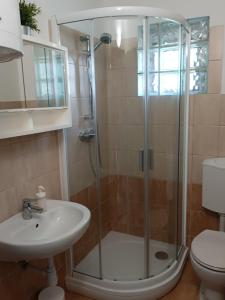 a bathroom with a shower and a sink at Nárcisz Vendégház 2 in Mezőkövesd +11 photos