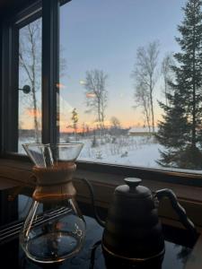 Naturlandskabet i nærheden af feriehuset + 30 billeder