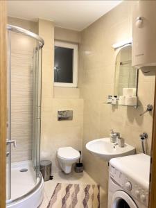a bathroom with a toilet and a sink and a shower at Apartman Pale - Biljana in Pale +8 photos