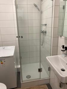 a bathroom with a shower and a sink at Über den Dächern von Offenbach in Offenbach