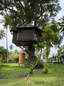 una casa sull'albero seduta sopra un albero di Paradise Camp 