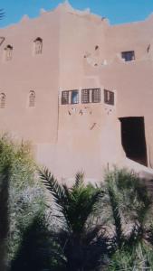 een gebouw met ramen en palmbomen ervoor bij La maison de palmeraie in Tamnougalt +11 foto's