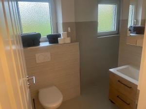 a bathroom with a toilet and a sink at Ferienhaus am Seeburgersee 100 Meter zum Wasser in Niederdorla +50 photos