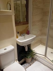 a bathroom with a sink and a toilet and a shower at Owls Roost in Stowmarket