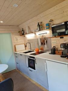 a small kitchen with a sink and a stove at Tiny House am Wald in Heideblick