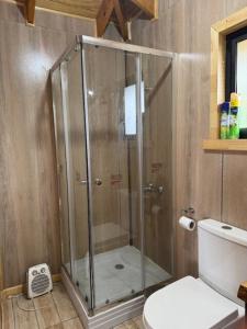 Phòng tắm tại Cabaña Lago Ranco