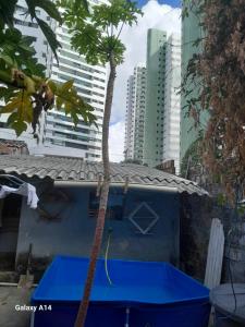 a palm tree on the roof of a building at Casa para alugar para o Carnaval in Recife