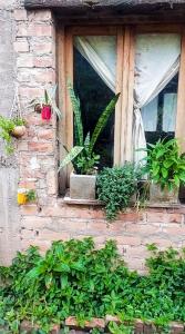 Ảnh trong thư viện ảnh của El hostelcito ở San Marcos Sierra