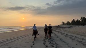 Gæster der bor på Puerto Escondido, 2 Bedroom Ocean View Condo