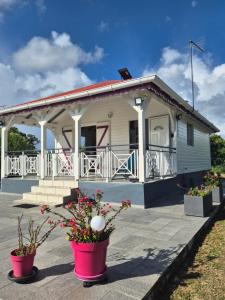 Saint-Louis"Fleur d'Hibiscus" Maison créole paisible au coeur de la nature的前面有鲜花的小房子