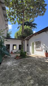 a white building with a tree in front of it at Ankaa Hostel in Flores