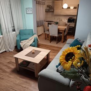 Køkken eller tekøkken på Apartman Kraljević