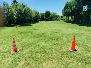 twee oranje verkeerskegels op een grasveld bij Sol y vida in Venado Tuerto