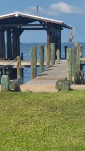 een vogel die op een steiger bij het water staat bij Launch & Lounge in Titusville +1 foto