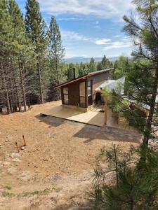 een klein huisje midden in een bos bij Klatt Haus  +31 foto's