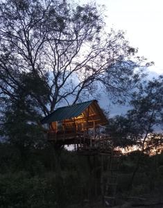 a tree house in the middle of a forest at Wild Night Hostel Sigiriya in Sigiriya